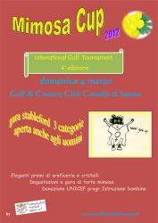Mimosa Cup 2012
